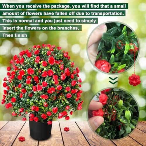 Stunning Tall LavenderRose Topiary Ball Potted Bushes for Home Garden