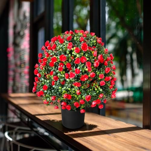 Stunning Tall LavenderRose Topiary Ball Potted Bushes for Home Garden