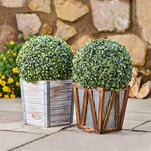 Teamson Home Solar-Powered LED Boxwood Topiary