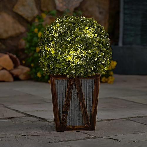 Teamson Home Solar-Powered LED Boxwood Topiary