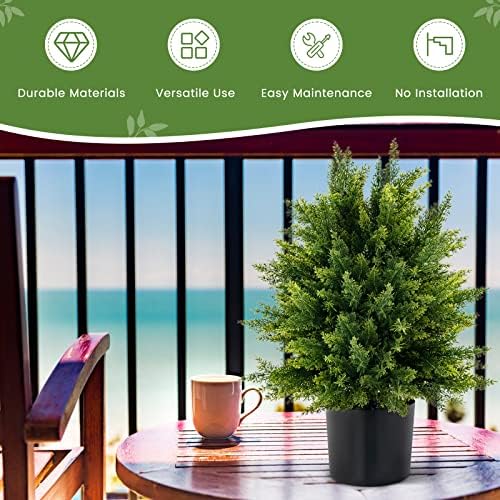 22 Cedar Topiary for Home Outdoor Spaces