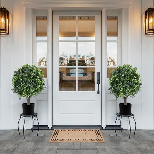 LXNRMHCH Boxwood Topiary Set of 2