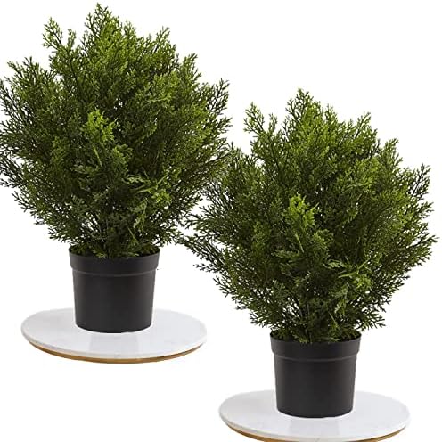 Momoplat - 33-inch Boxwood Artificial Plant Topiary Set of 2
