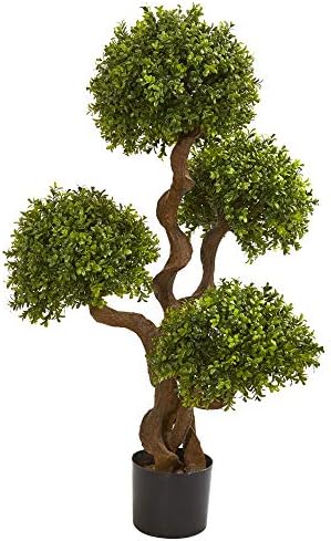 Boxwood Topiary Silhouette