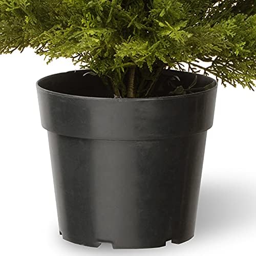 National Tree Co Artificial Shrub - Globe Juniper 15 Pot
