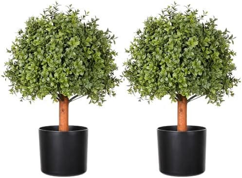 Elegant Boxwood Topiaries