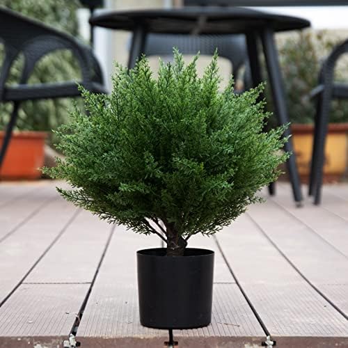 17 Real-Cedar Topiary_SIM Kids