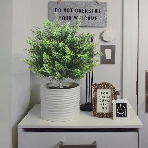 28 Inch Artificial Cypress Topiary Set of 2