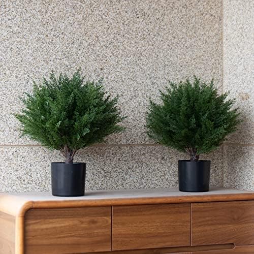 17 Real-Cedar Topiary_SIM Kids