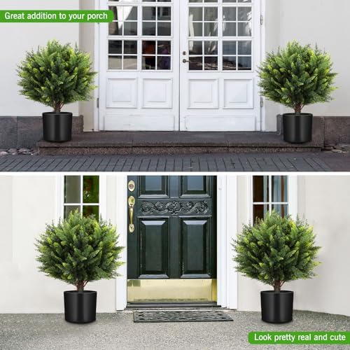 Zeyune 4-Piece Outdoor Cedar Topiary Ball Trees