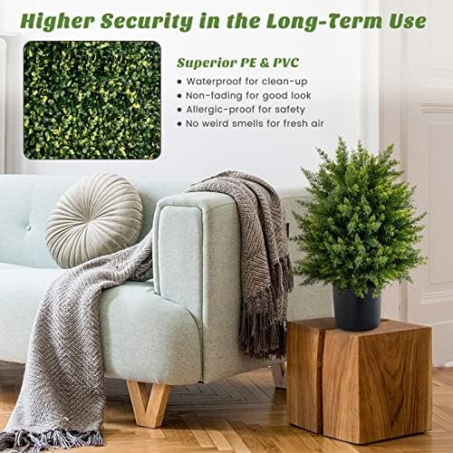 22 Cedar Topiary for Home Outdoor Spaces