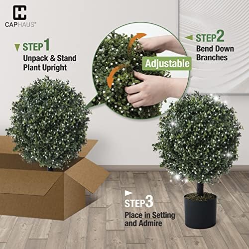 Add a Little Greenness to Your Decor