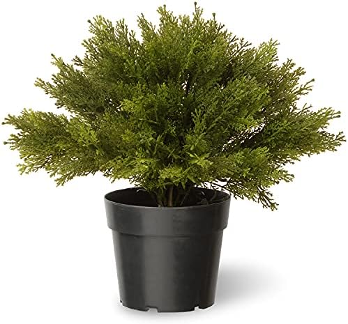 National Tree Co Artificial Shrub - Globe Juniper 15 Pot