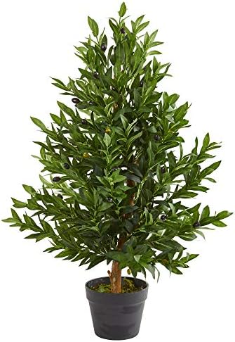 Distinctive Olive Tree Topiary