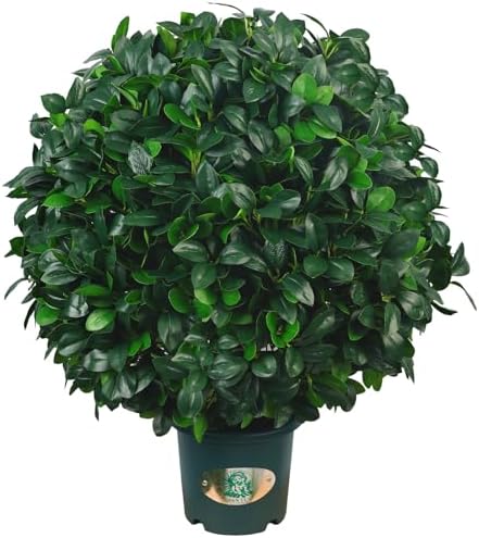 High-Quality Faux Outdoor Tree Ball