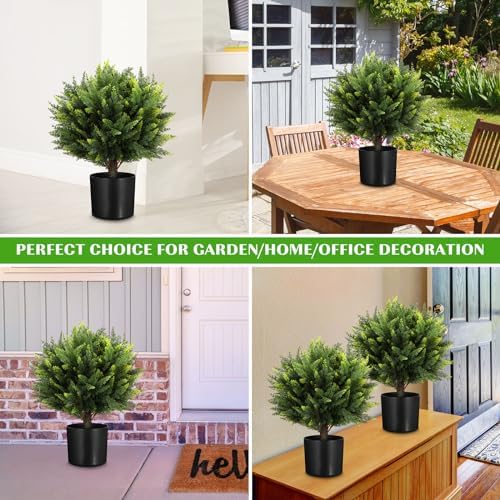Zeyune 4-Piece Outdoor Cedar Topiary Ball Trees