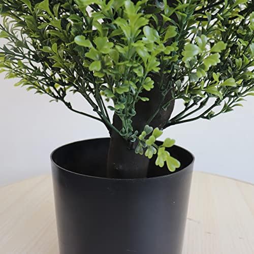 Leung Group 2-Pack 3 Cedar Cypress Potted Topiaries