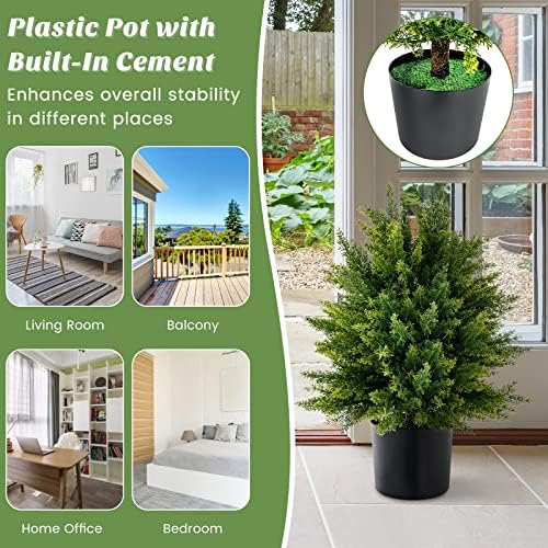 22 Cedar Topiary for Home Outdoor Spaces