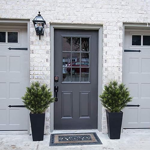 Realistic Cedar Topiary for Home
