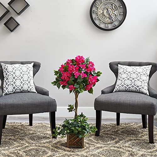 Bougainvillea Topiary 34in