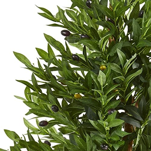 Distinctive Olive Tree Topiary