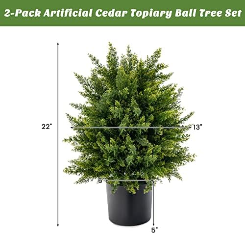 22 Cedar Topiary for Home Outdoor Spaces