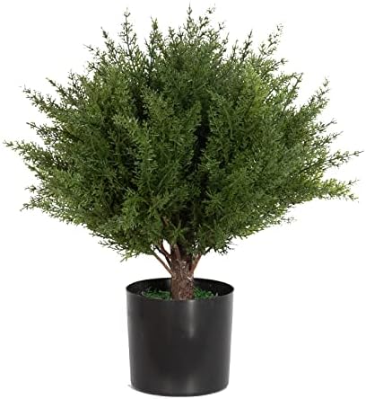17 Real-Cedar Topiary_SIM Kids