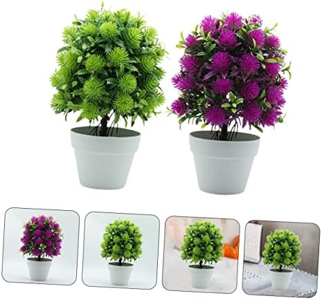 Personalized Miniature Green Potted Plant Decor 2PC Set