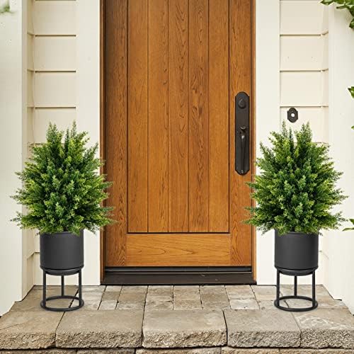 22 Cedar Topiary for Home Outdoor Spaces
