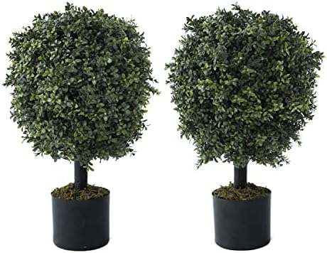 Add a Little Greenness to Your Decor