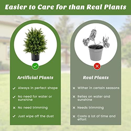 22 Cedar Topiary for Home Outdoor Spaces