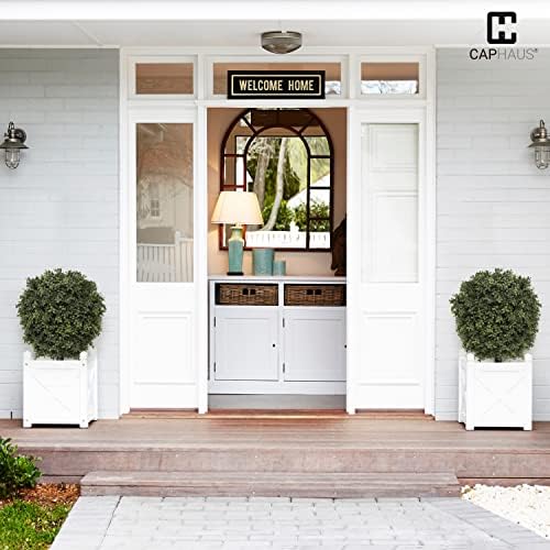 Add a Little Greenness to Your Decor