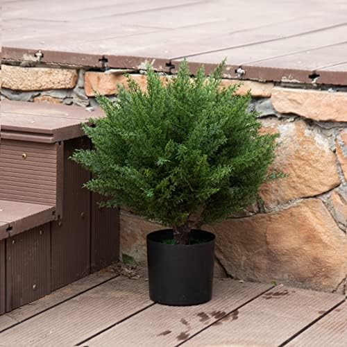 17 Real-Cedar Topiary_SIM Kids