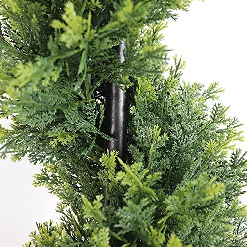 Front Porch Boxwood Topiary