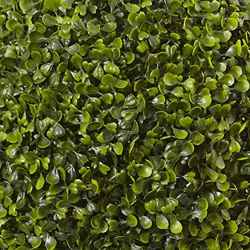 Stately Boxwood Topiary with urn IndoorOutdoor