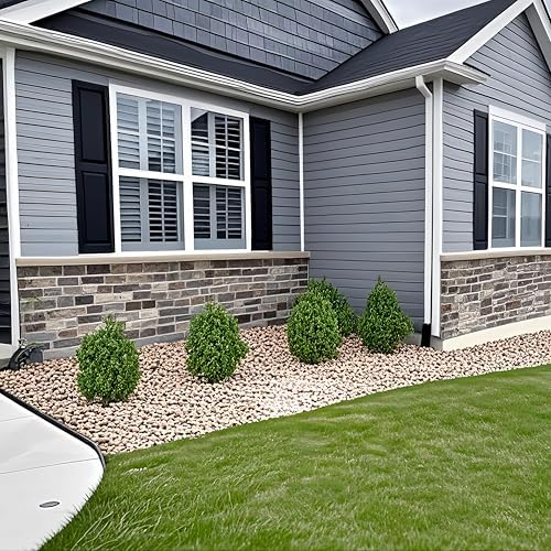 2-Pack Boxwood Topiary Bush Outdoor Use