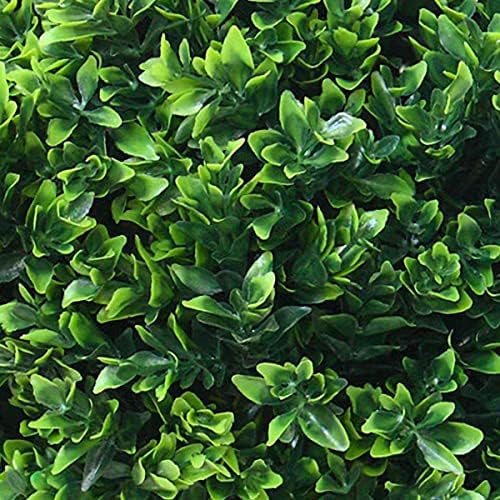 Stalwart Hedyotis Topiary Set of Two