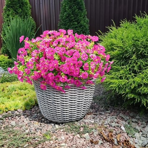 IVYDALE Natural-Aesthetic Outdoor Fuchsia Morning Glory Eucalyptus Plant Bundle