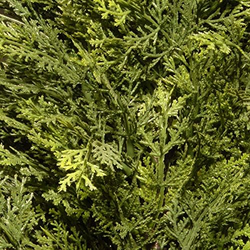Deluxe artificial Cedar tree for home or deck
