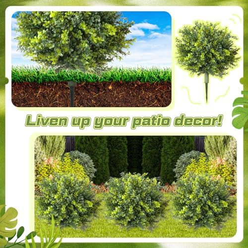 4-Pack Boxwood Topiary Elegance Beauty for Your Space