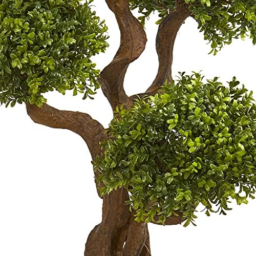 Boxwood Topiary Silhouette