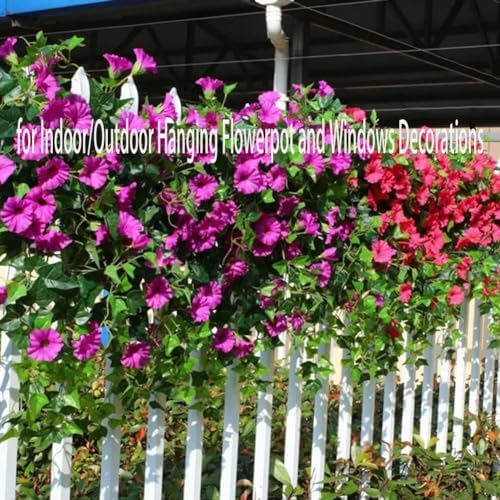 26in UV-Friendly Petunia Display