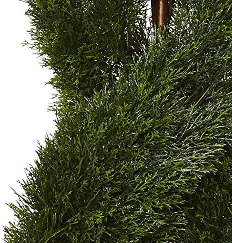 Sleek 5 Pond Cypress Topiary